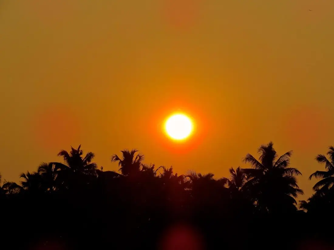 Sol se pondo atrás de um bosque de palmeiras