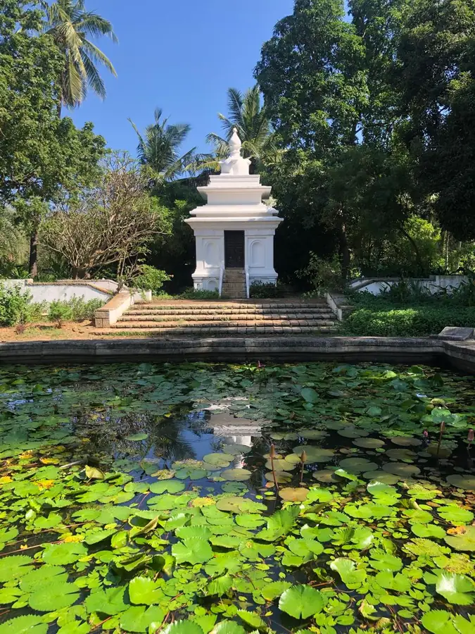 Pequeno templo branco refletido num lago coberto de vitórias-régias